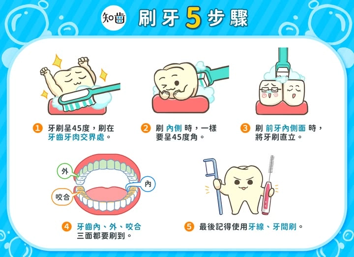 教幼兒正確的刷牙方式,牙齒內外側和牙齦都要刷到。